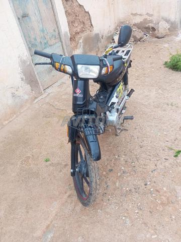 c50 للبيع مزال نقية  - 2