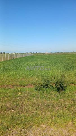 ارض للبيع محفضة  - 2