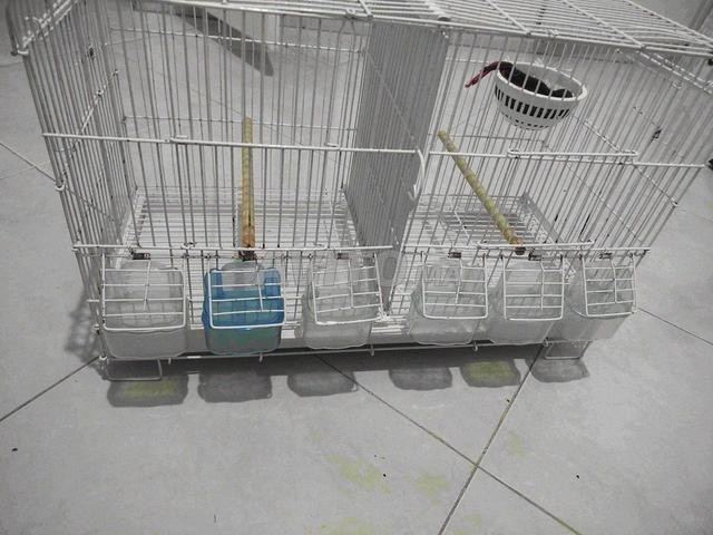 Cage séparé  - 2