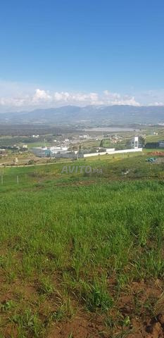 Terrain à vendre Tétouan