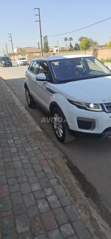 Ronge rouge évoque dynamique - 2