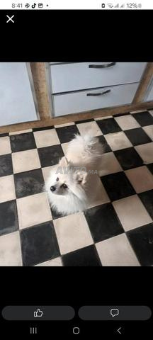 wlad wjih block f - 2