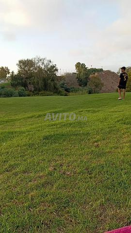 مربية للأطفال - une nounou pour les enfants