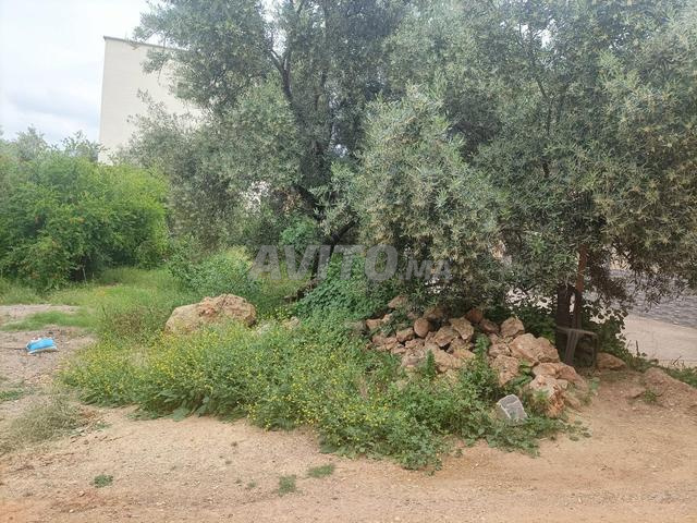 تاݣزيرت قرب ثانوية  - 2