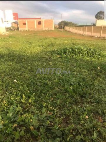 Terrain résidentiel à vendre à Larache - 2