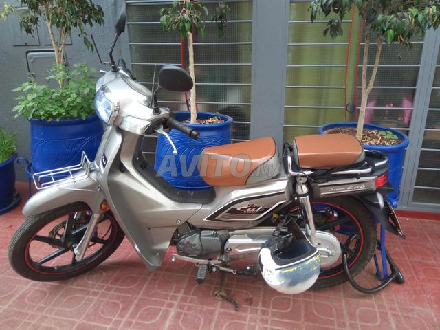 Motobecan Super Cub - 2