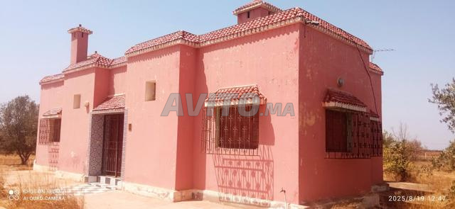 فيرما ممتازة هكتار ونصف - 2