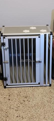 قفص نقل الكلاب احترافي