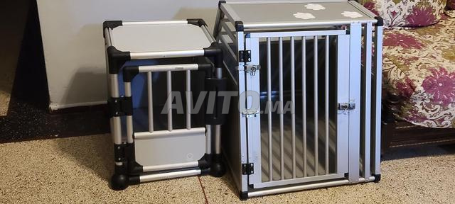 قفص نقل الكلاب احترافي - 2