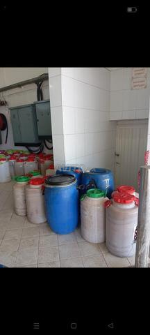 زيت وزيتون سكورة - 2