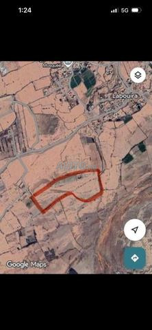 Terrain agricole titré à 25min d'Agadir - 2