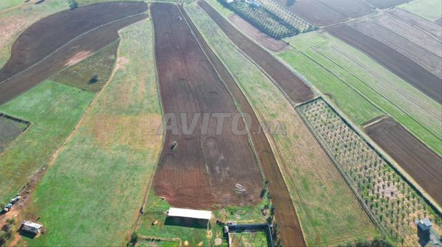 مزرعة للبيع بنسليمان - 2