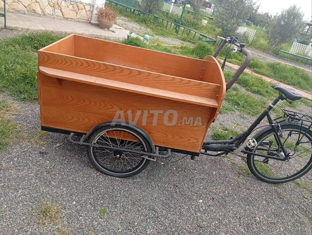 Remorque avant vélo - 2