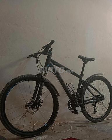 آسفي اموني - 2