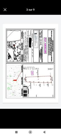 Exnaaya El Hjarriine Tanger - 2