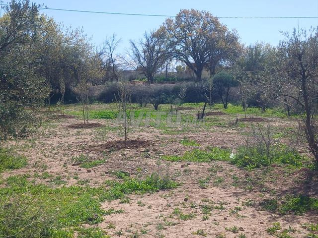 Terrain 740 M2 constructible route Amizmiz KM18