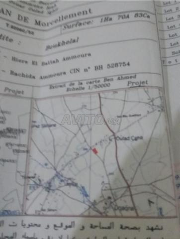 Terrain agricole à vendre province de Berrechid - 2