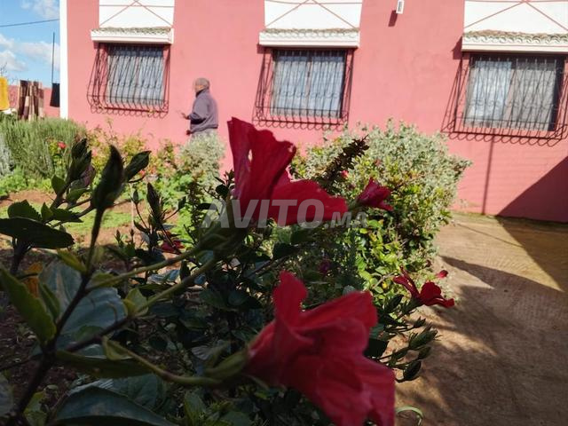 منزل وأرض فلاحية ثيثر فونسي فها بئر 60مليون