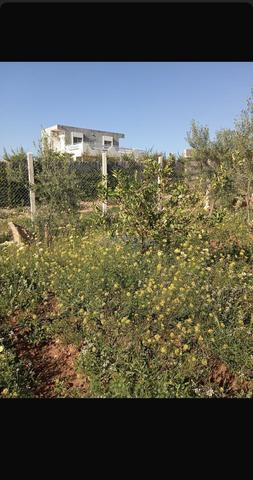 مزرعة صغيرة للبيع - 2