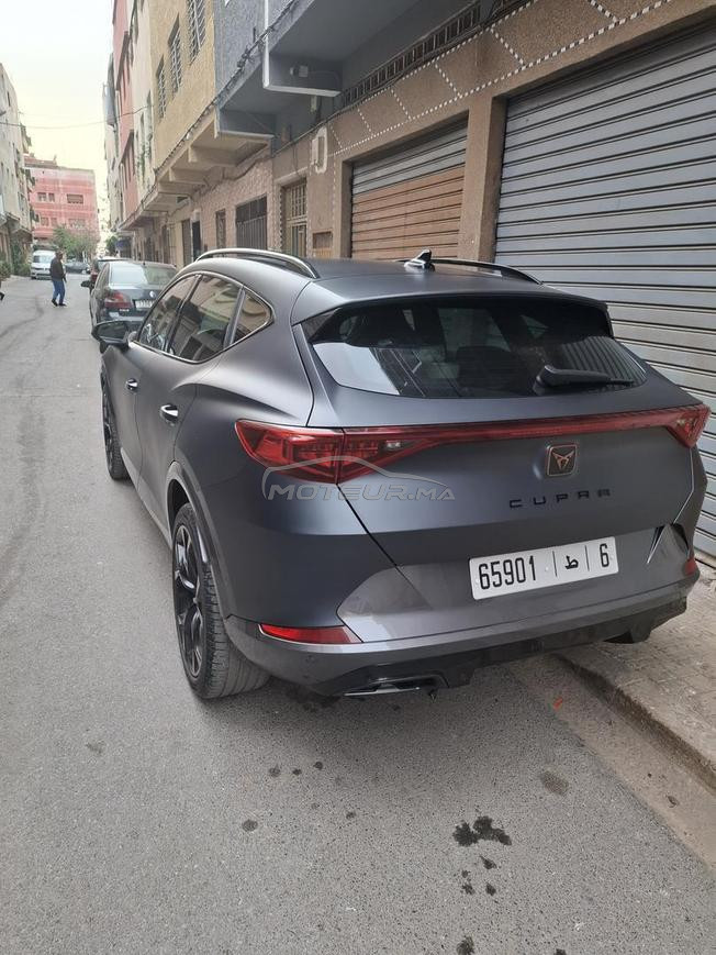 الالفه  الدار البيضاء 