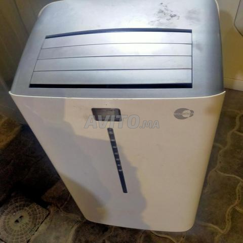 كليما للبيع نقية ثمن مناسب - 2