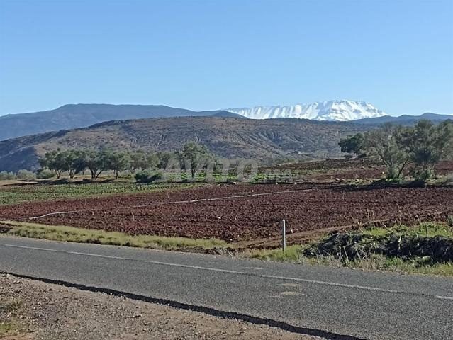 أرض لمحطة خدمة، نزل، منزل ضيافة - 2