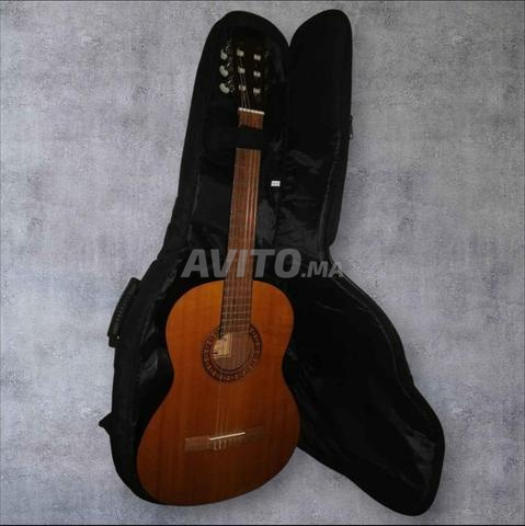 Walden N350 handmade nylon Guitar