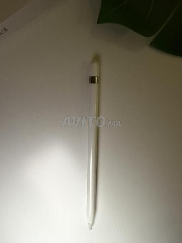 Apple Pencil 1ère génération - 2