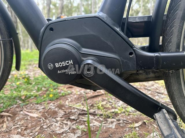 Vélo électrique Trek LM2 plus (très bon état) - 2