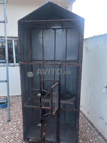 قفز كبير للبيع بسيدي علال البحراوي - 2