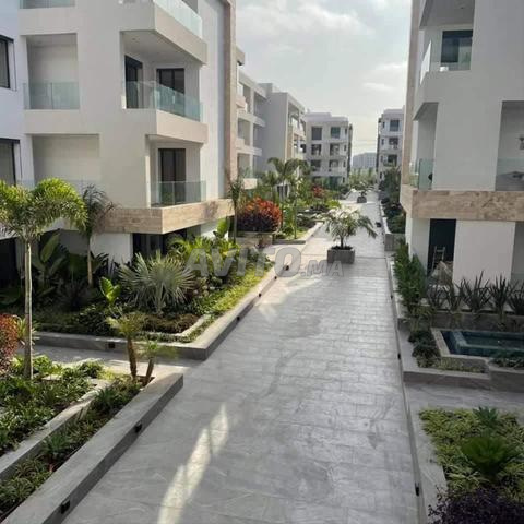 ستوديو مفروش أركاديا كاليفورنيا - 2