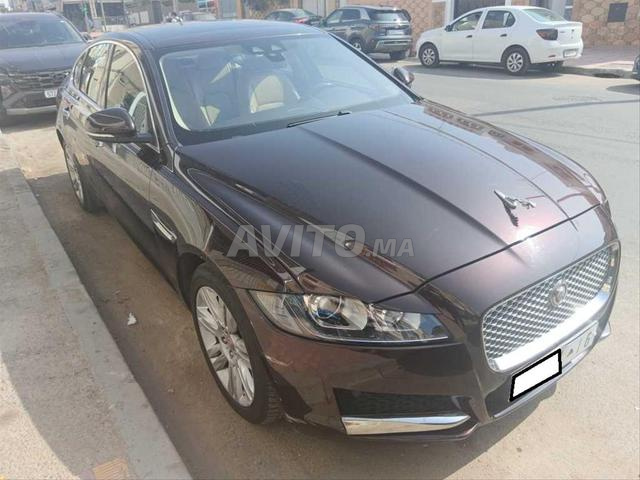 KIFAL - JAGUAR XF - 2