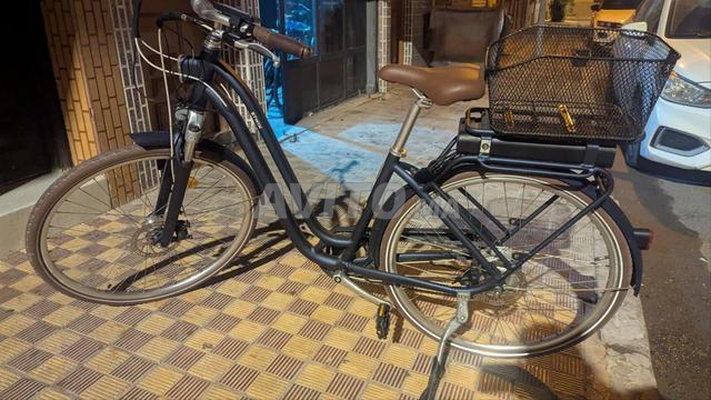 3 دراجات كهربائية جيان (بدون بطارية) - 2