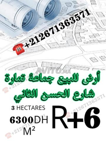 Terrain propice à l'investissement