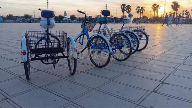 دراجات ثلاثية العجلات - 2