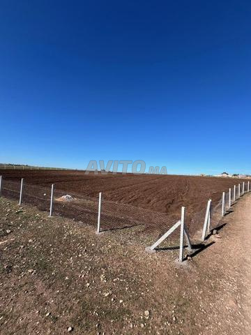 TERRAIN A VENDRE - 2