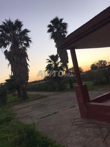 Terrain avec maison sur la route