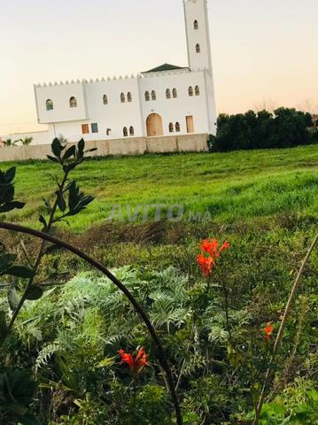 Terrain avec maison sur la route - 2