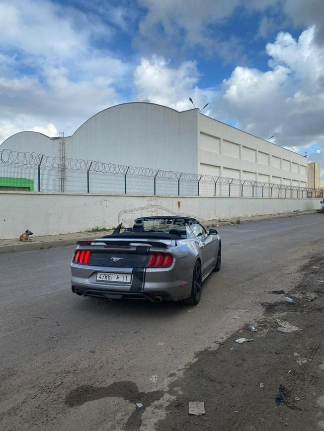 Ford Mustang 2.3