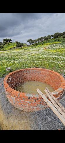 Terrain agricole entre Tanger et Tétouan - 2
