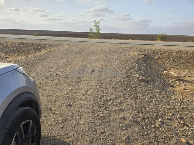 Terrain 1ha route goudronnée - 2