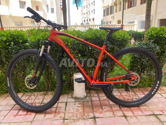 دراجة سكوت جبلية 29