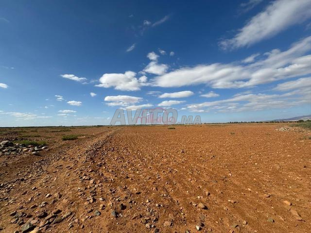 بيع أرض عارية بمساحة 208100 متر مربع في مراكش