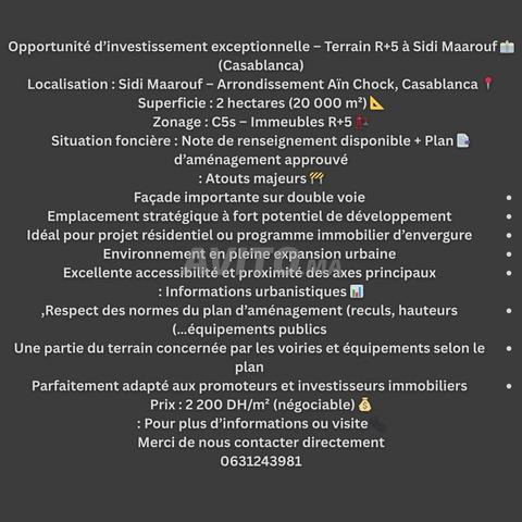 أرض R + 5 سيدي معروف 2 هكتار C5s طريق مزدوج