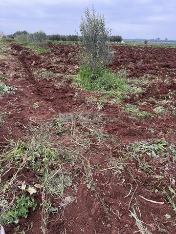 9 هكتار للبيع - 2