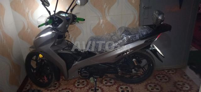 ش دايتونا ش شهر 5 جديدة - 2