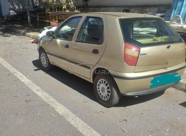 palio deisel 