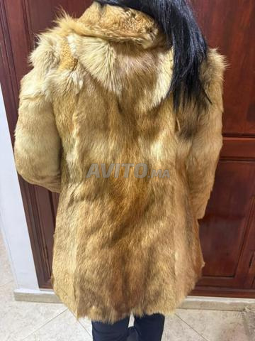 فرو ثعلب حقيقي - 2