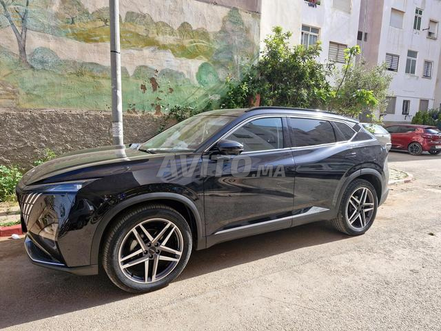 هجينة 2025 - كالجديدة