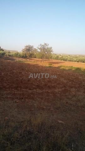 أرض للبيع موقع استراتيجي - 2